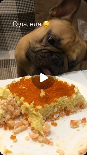 Лаваш с творогом и ветчиной